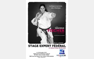 Stage expert - Laurence FISCHER