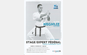 Stage kata avec Ayoub NEGHLIZ, entraineur national kata