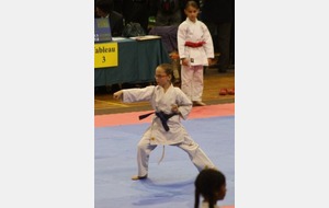 Championnat inter-région kata et kumité