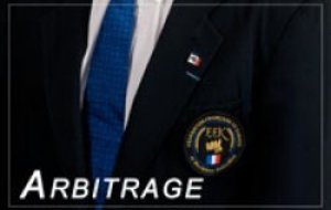 Stage arbitrage départemental