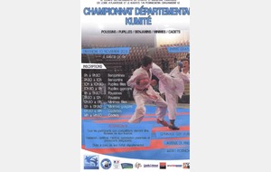 Championnat départemental kumité P/P/B/M/C