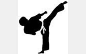 Stage haut niveau kumité