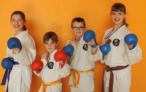 Championnat inter régions kumité (ORLEANS)