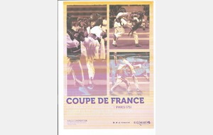 Championnat de France kumité (Pupilles) - 23 et 24 mai 2015.