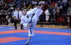 Championnat de France kata (Pupilles/Benjamins)