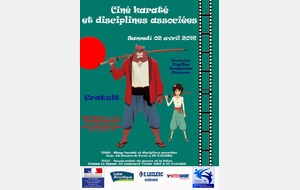 Stage karaté ciné et disciplines associées - 02 avril