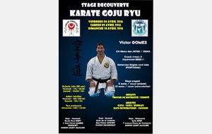 Stage Goju ryu - vendredi 8, samedi 9, dimanche 10 avril