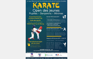 Résultats de l'Open de Ligue kata /kumité