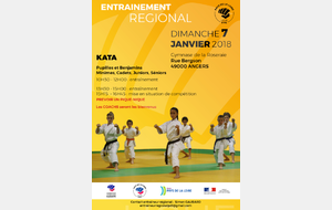 Entrainement régional kata