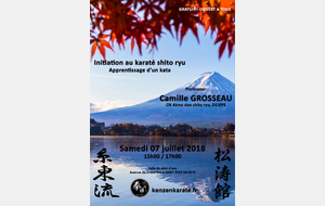 Stage avec Camille GROSSEAU, CN 4ème dan