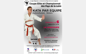 Championnat de ligue kata équipe