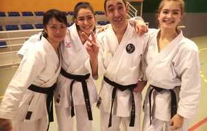 Résultats de l'examen départemental des grades shodan (1er dan), nidan (2ème dan).