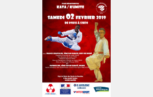 Stage départemental kata ou kumité