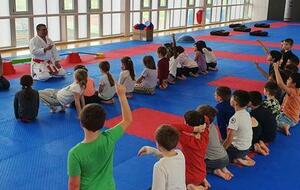 160 écoliers découvrent le karaté à l'école