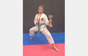 Tournoi de la Vienne