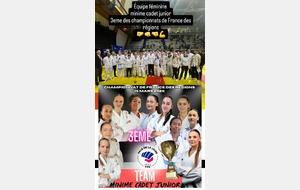 Championnat de France des Ligues