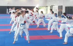 Stage de sélection &quot;élite départementale&quot;