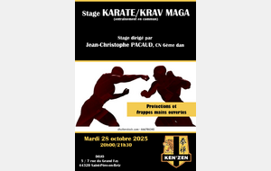 Regroupement Ken'Zen Karaté et Krav Maga