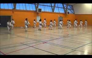 Cours été 2014 : ados/adultes (remise en forme + kata)