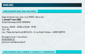 Stage kata Jean-Louis MOREL, CN 8ème dan