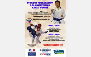 Préparation à la compétition kata / kumité