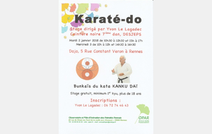 Stage Yvon LE LAGADEC 7ème dan