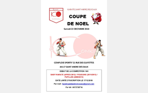 Coupe amicale de Noël