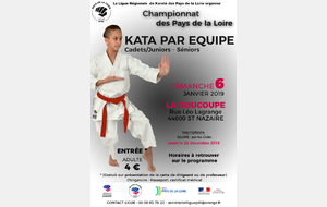 Championnat de ligue kata équipe