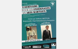 E-Séminaire pour les enseignants en Arts Martiaux