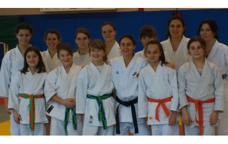 Stage départemental Body karaté et Kata