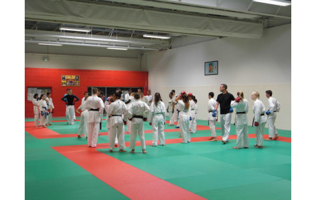 Stage ligue haut niveau kumité.