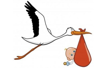 Naissance de Stanislas - 25 octobre 2014