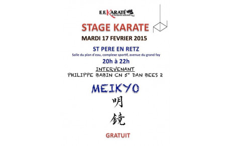 Stage Philippe BABIN - 17 février 2015