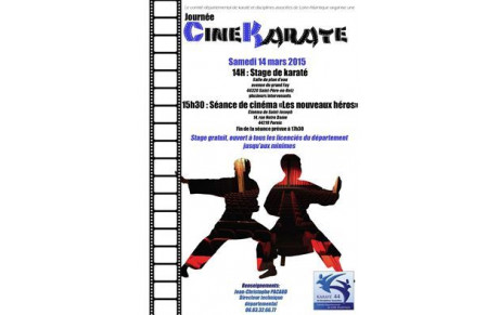 Stage karaté / cinéma / goûter - 14 mars