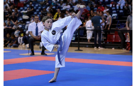 Championnat de France kata (Pupilles/Benjamins)