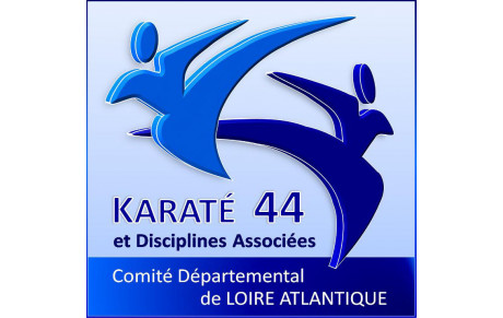Lettre de Monsieur Michel CHEVALIER, président du Comité Départemental de karaté.