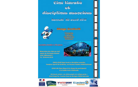 Ciné karaté et DA
