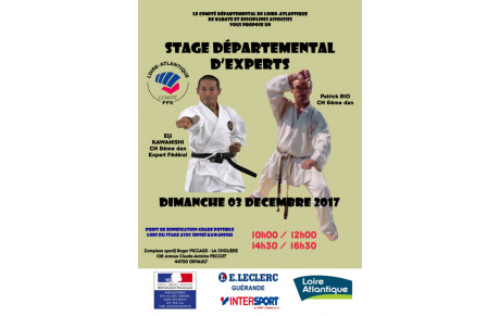 Stage départemental d'experts