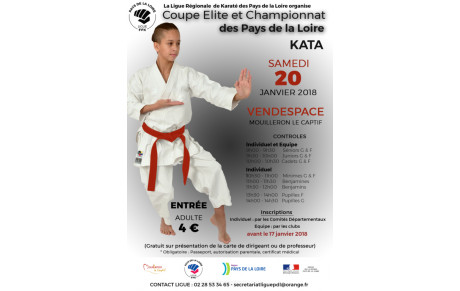 Championnat de ligue kata