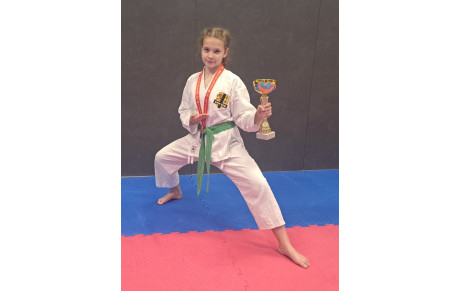 Tournoi de la Vienne