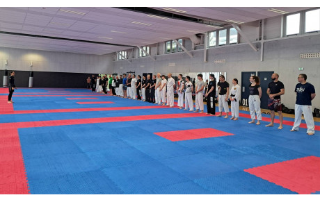 Stage "Défense au sol" avec Marlène BIZE, CN 4ème dan K-Mix